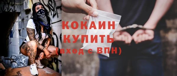 твердый Богородицк