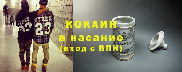 твердый Богородицк