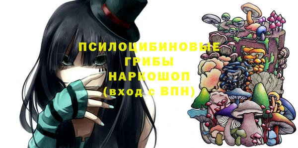твердый Богородицк