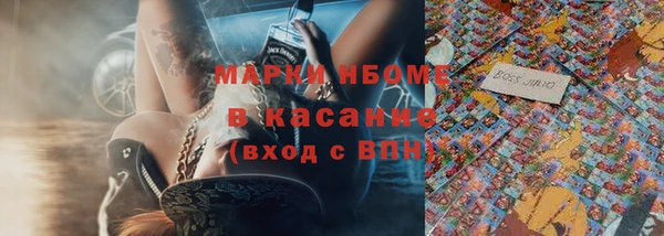 твердый Богородицк