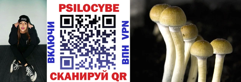 Псилоцибиновые грибы Magic Shrooms  Купить  Ряжск 